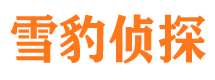 调兵山外遇出轨调查取证